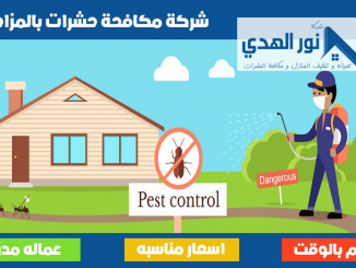 شركة مكافحة حشرات بالمزاحميه