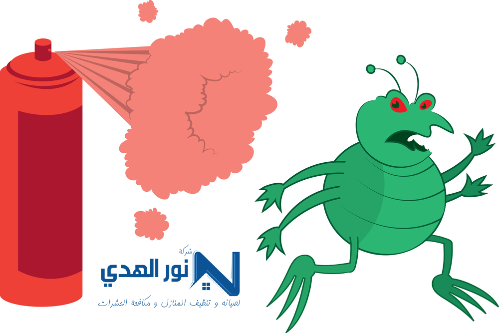 شركة رش دفان بالمزاحميه