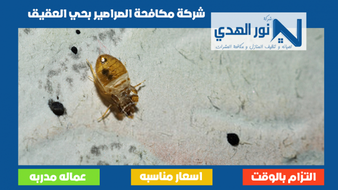 شركة مكافحة الصراصير بحي العقيق