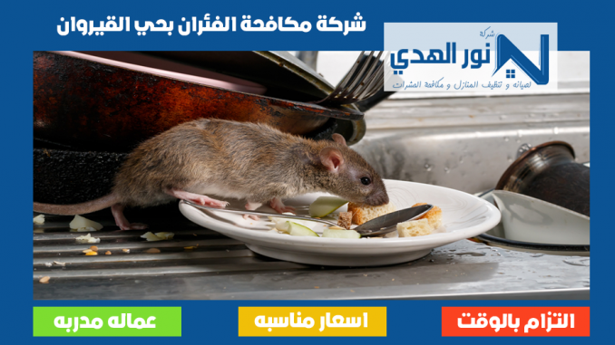 شركة مكافحة الفئران بحي القيروان