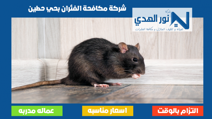 شركة مكافحة الفئران بحي حطين