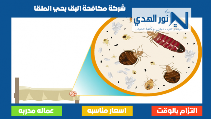 شركة مكافحة البق بحي الملقا