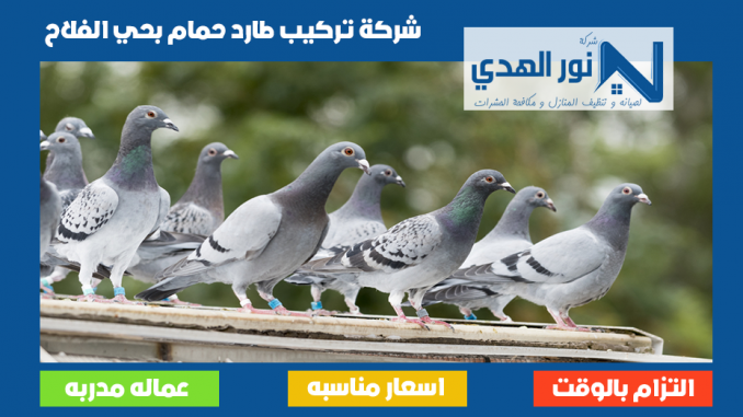 شركة تركيب طارد حمام بحي الفلاح