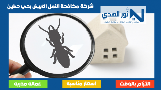 شركة مكافحة النمل الابيض بحي حطين