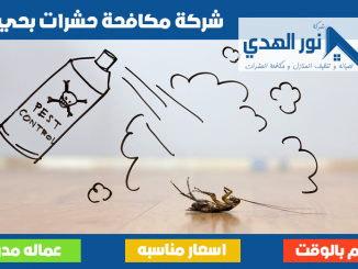 شركة مكافحة حشرات بحي حطين