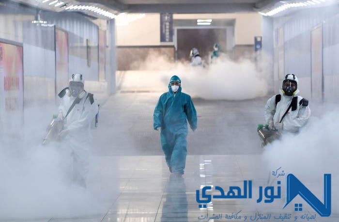 شركة تعقيم بتبوك