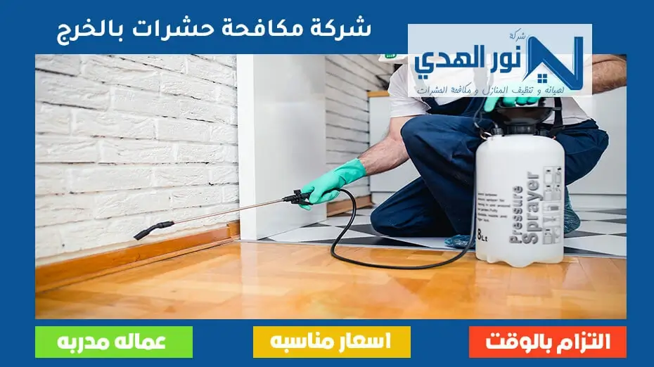 شركة مكافحة حشرات بالخرج