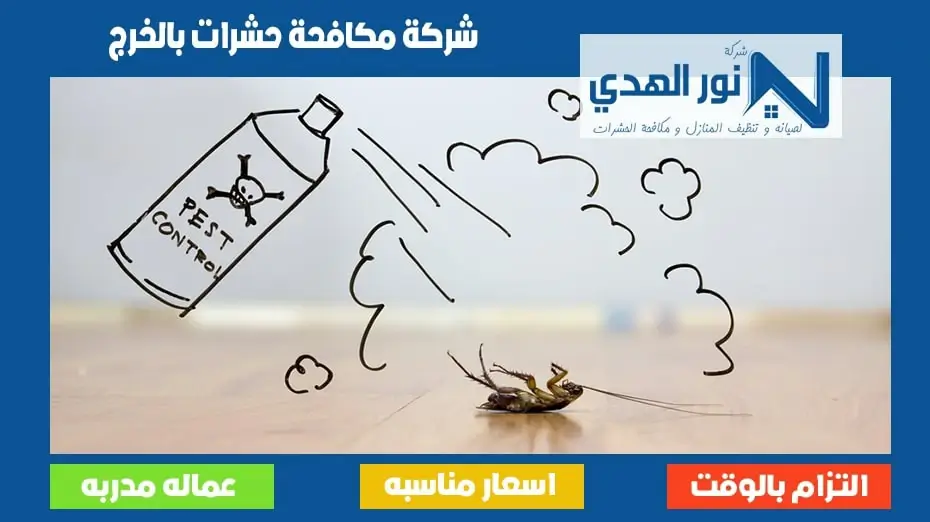 شركة مكافحة حشرات بالخرج