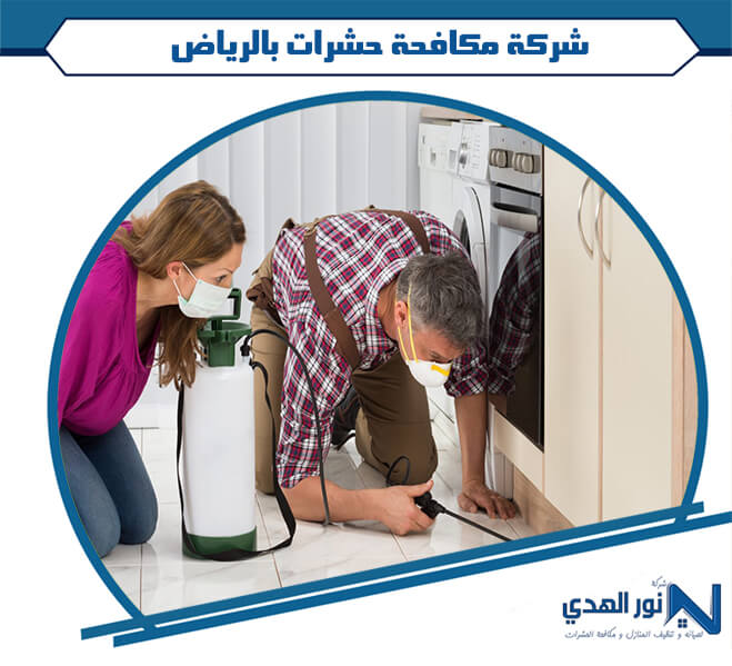 شركة مكافحة حشرات بالرياض