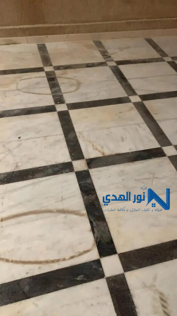 افضل شركة جلي بلاط
