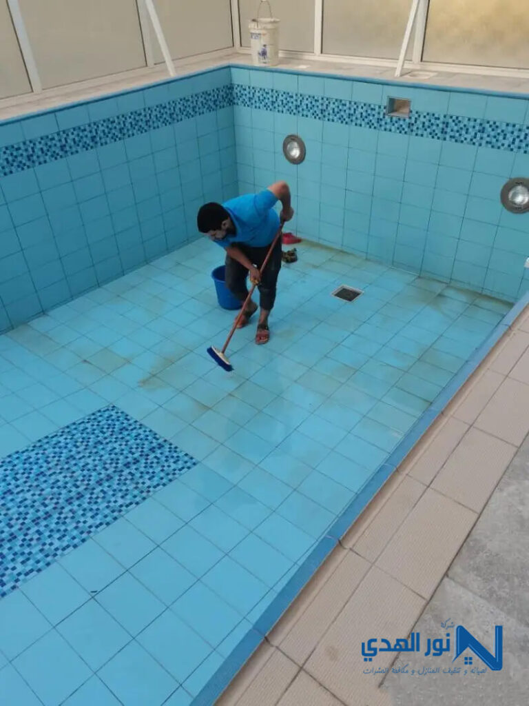 تنظيف المسابح من الطحالب
