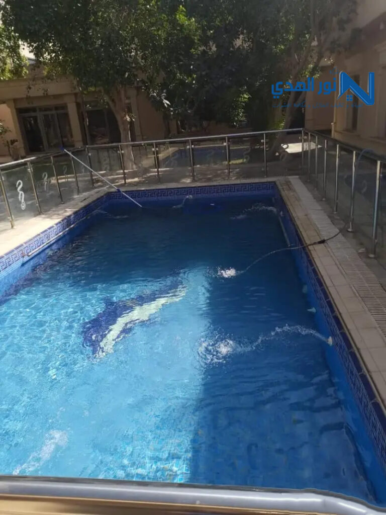 تنظيف مسابح الاسكيمر