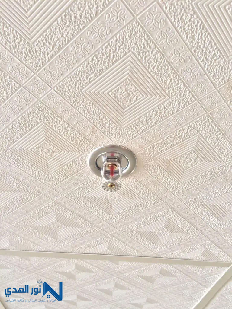 شركات انذار الحريق