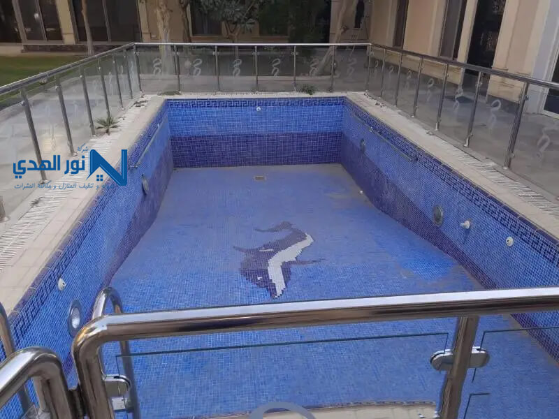 شركة تنظيف مسابح من الغبار